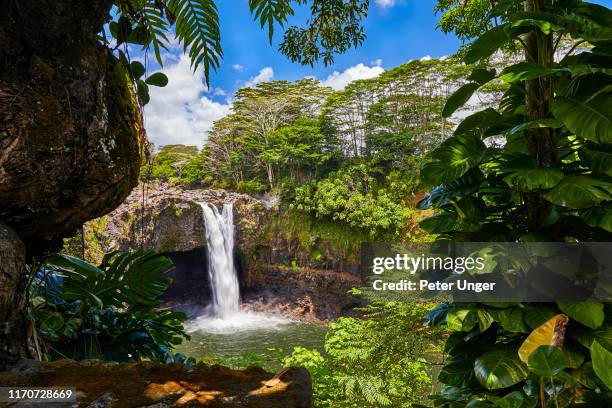 rainbow falls,hilo,big island,hawaii,usa - ハワイ諸島 ストックフォトと画像