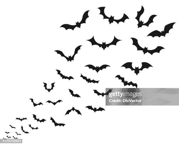 4 875点のコウモリイラスト素材 Getty Images 4 875点のコウモリイラスト素材 Getty Images