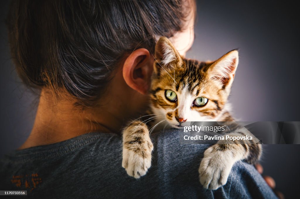 Chaton et le propriétaire