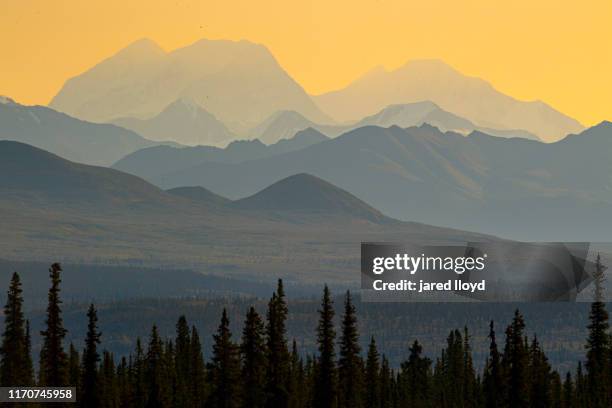 sunrise on the old denali highway in alaska - denali highway stock pictures, royalty-free photos & images