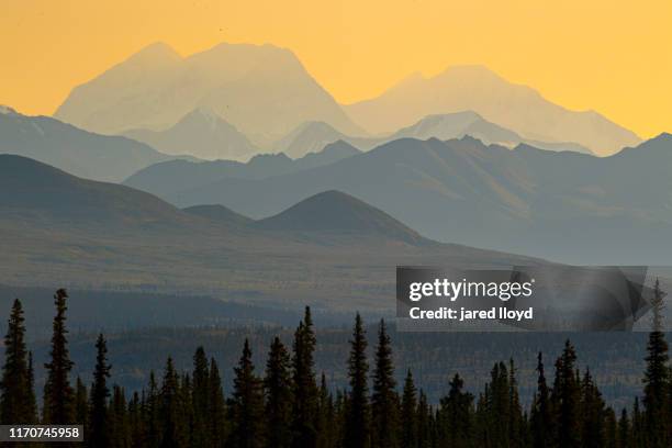 sunrise on the old denali highway in alaska - alaska mountain range stock pictures, royalty-free photos & images