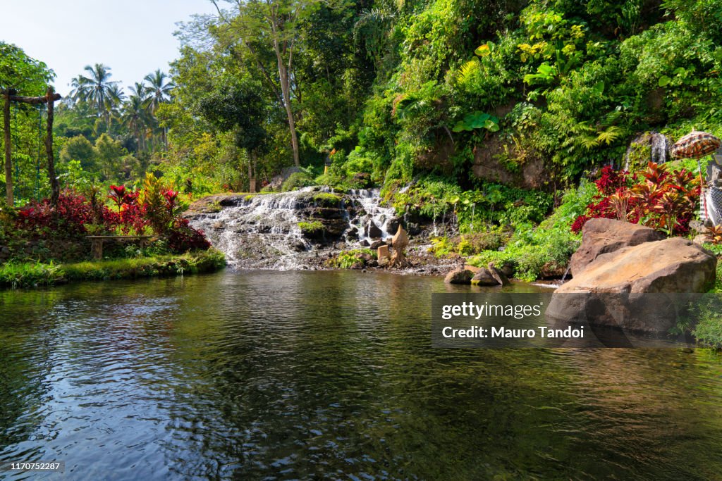 The beautiful heart of Bali Island, Indonesia