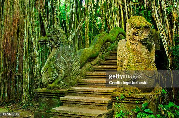 stone staircase leading to temple - ubud monkey forest stock pictures, royalty-free photos & images