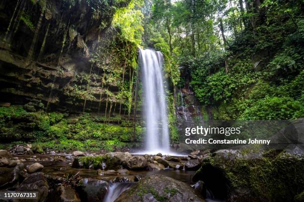 waterfall in green forest, mahua tambunan. - isla de borneo fotografías e imágenes de stock