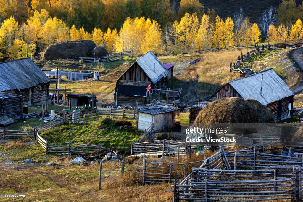 White khabarov village scenery in xinjiang