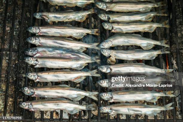 Caplin 1,323 Caplin Stock Photos, High-Res Pictures, and Images - Getty Images