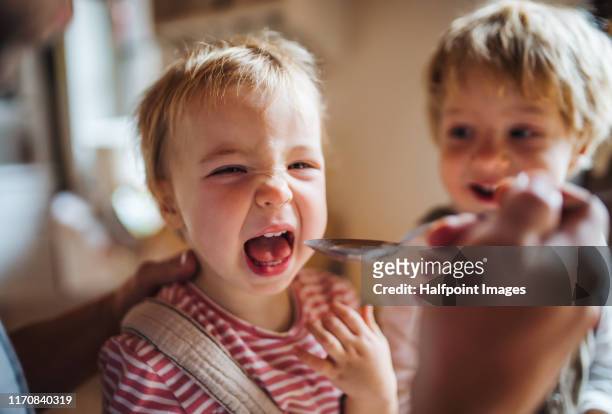 a father on paternity leave looking after two children indoors. - spoon feeding stockfoto's en -beelden