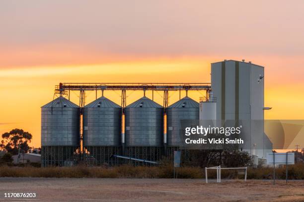 grain silos against the sunset - queensland farm stock pictures, royalty-free photos & images