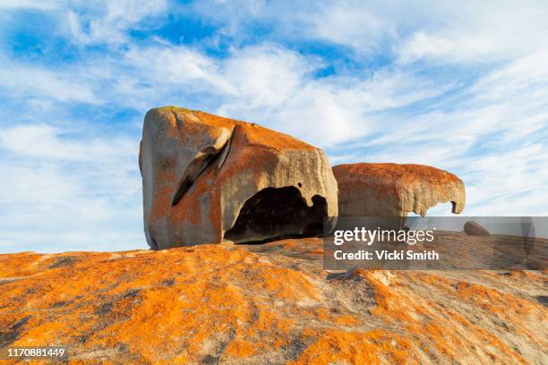 large orange colored rocks on the oceans coastline, "the remarkables" . - south australia copy space stock pictures, royalty-free photos & images