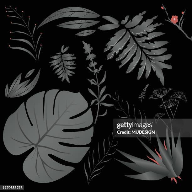 sammlung von tropischen blättern vektor-set isoliert auf schwarzem hintergrund - bali stock-grafiken, -clipart, -cartoons und -symbole