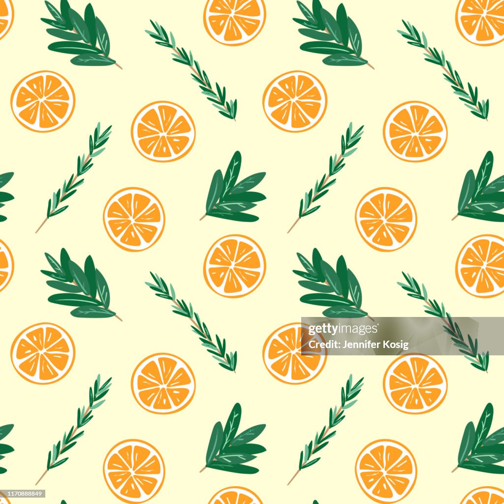 Ilustraciones de patrones de naranjas y hierbas sin costuras