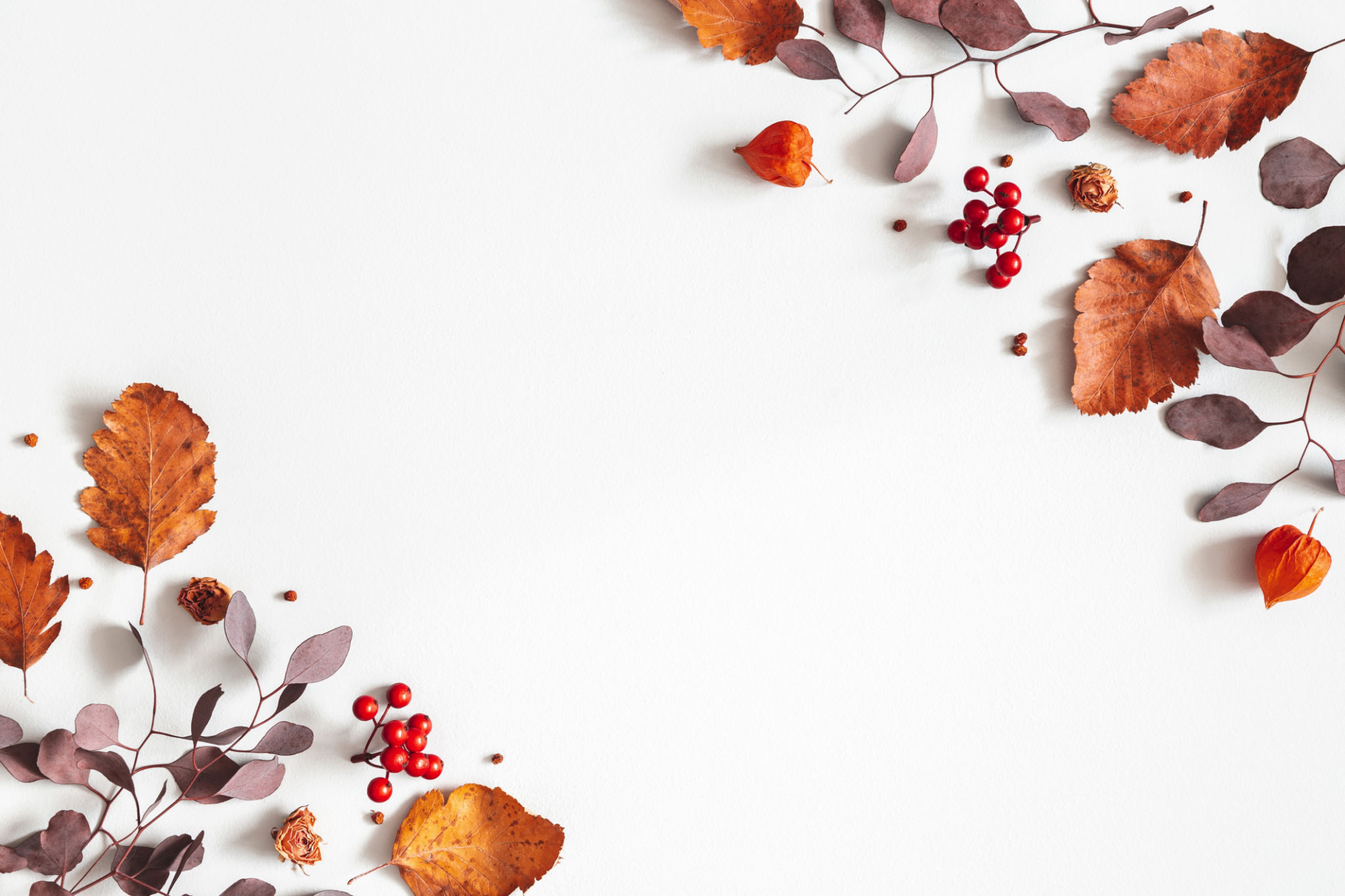 autumn greeting cards
