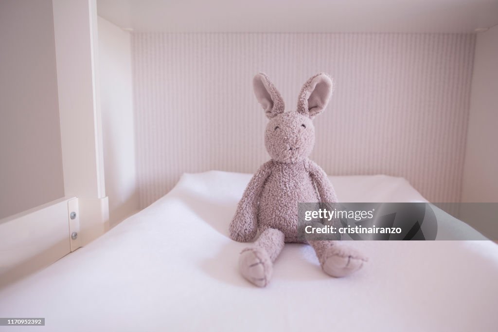 Rabbit on change the diaper