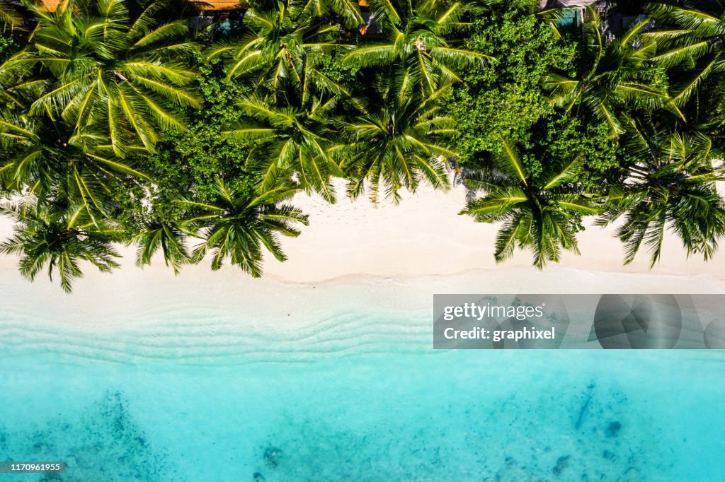 Playa Tropical en el Océano, Maldivas