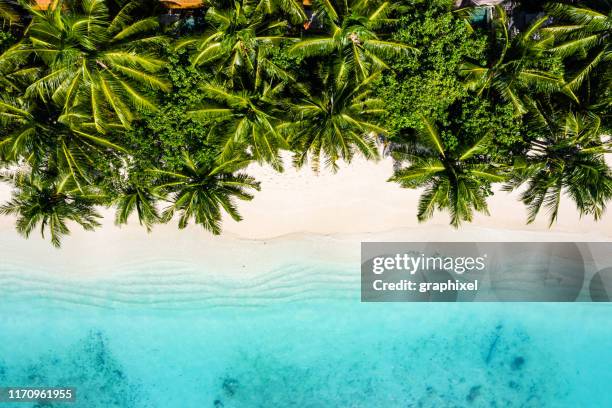 playa tropical en el océano, maldivas - oceano índico fotografías e imágenes de stock