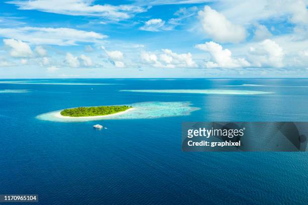 tropische insel im ozean - malediven stock-fotos und bilder
