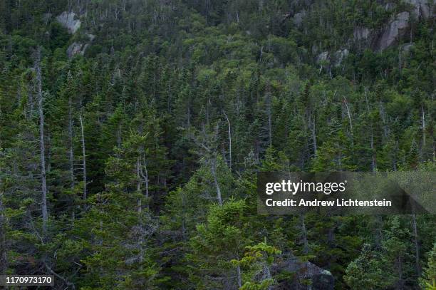 Views of the White Mountain National Forest, a preserved mountain range of granite and deciduous forest, as seen on August 26 in central New...