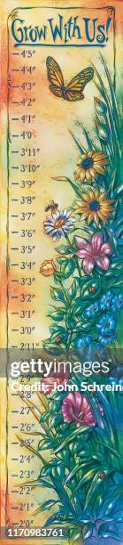 growth chart - height chart stock illustrations
