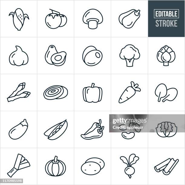 gemüse dünne linie icons - editierbare strich - scharfe schoten stock-grafiken, -clipart, -cartoons und -symbole