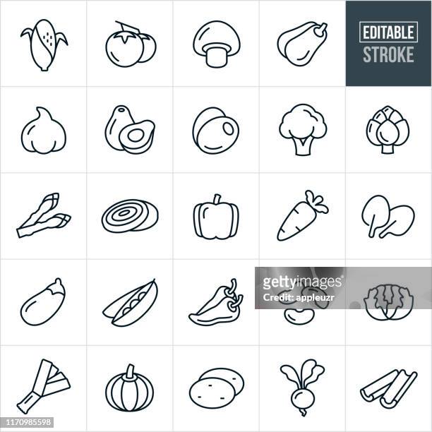 stockillustraties, clipart, cartoons en iconen met groenten dunne lijn icons-bewerkbare lijn - black and white food vector