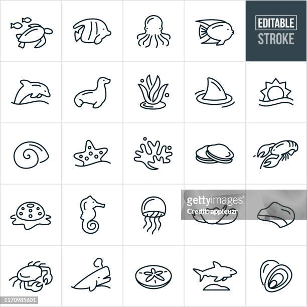 marine life thin line icons - editable stroke - sea stock illustrations