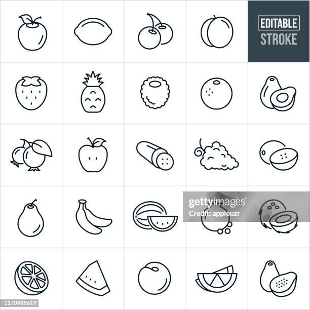 illustrazioni stock, clip art, cartoni animati e icone di tendenza di icone della linea sottile della frutta - tratto modificabile - coconut