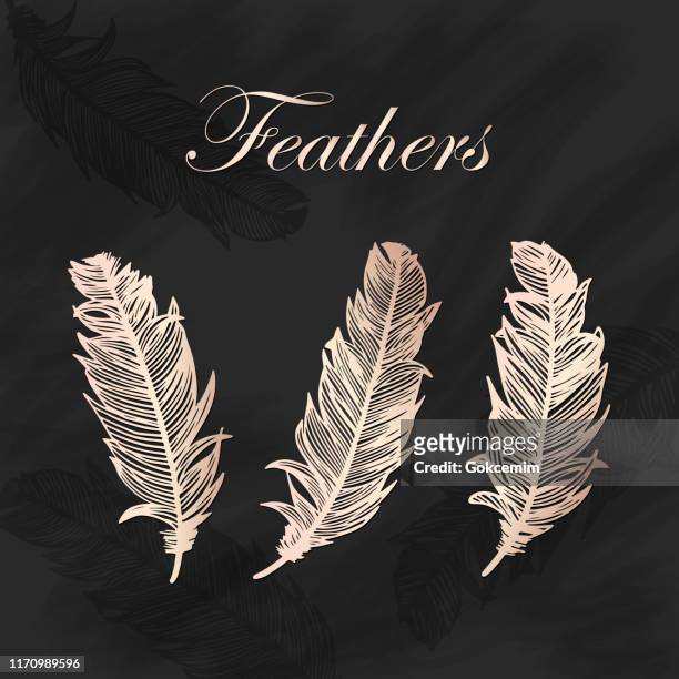 peach colored metallic feathers collection with blackboard background. design element for greeting cards and wedding, birthday and other holiday and summer invitation cards background. - feather quill stock illustrations