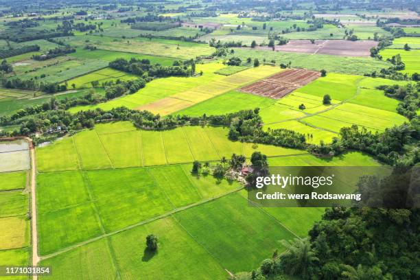 aerial view of green field farmland in the rural scenic - large grass area stock pictures, royalty-free photos & images