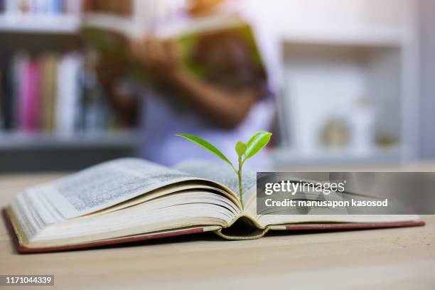 education concept with tree of knowledge planting on opening old big book - investment philosophy stock pictures, royalty-free photos & images