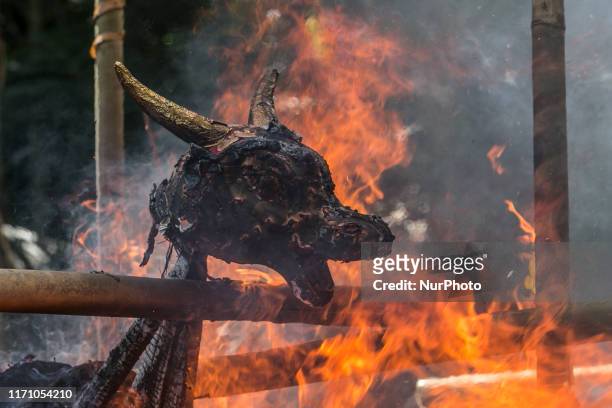 Head of bull coffin burnt during mass cremation or locally called Ngaben rituals in the grave yard of Bayad Village in Tegallalang, Gianyar, Bali on...