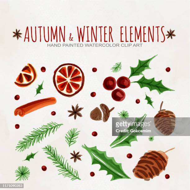 autumn and winter design elements clip art. hot mulled wine ingredient christmas pattern. dried orange, cinnamon, star anise, acorn, leaves and pine tree background. - dried food stock illustrations