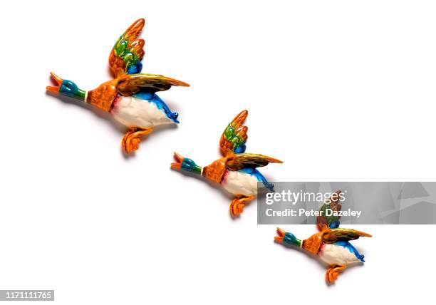 flying ducks on white wall - patos ornamentais imagens e fotografias de stock