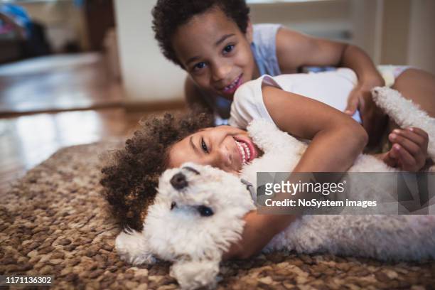 niedlich gemischt - rasse geschwister spielen zu hause mit hund - family dog stock-fotos und bilder