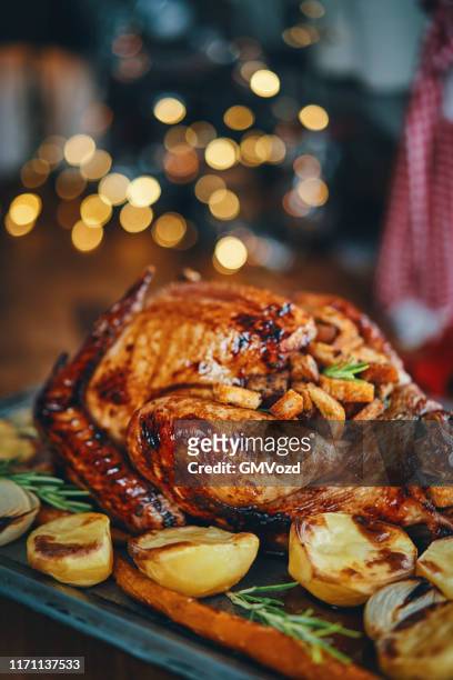 preparing stuffed turkey for holidays in domestic kitchen - chicken roasting oven stock pictures, royalty-free photos & images