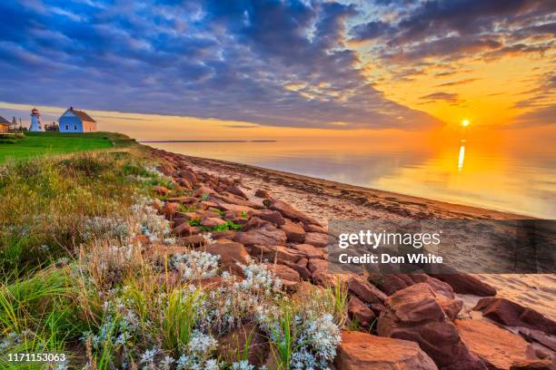 maritime provinz prince edward island - seeprovinzen stock-fotos und bilder