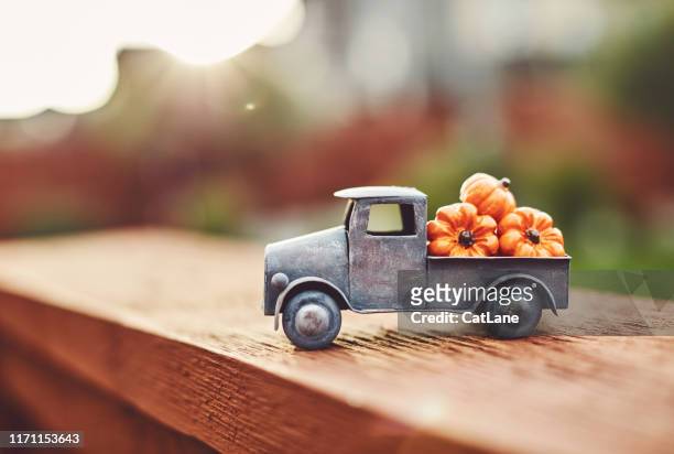 little truck with load of miniature pumpkins for fall and thanksgiving - thanksgiving cat stock pictures, royalty-free photos & images