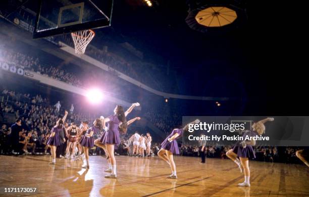 General view as cheerleaders dance on the floor in between time-outs during an NCAA game circa 1955 at Madison Square Garden in New York, New York.