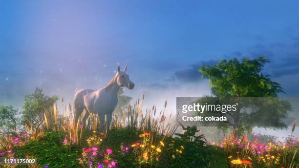 unicorn in the wild - unicorn stock pictures, royalty-free photos & images