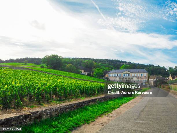 vila de volnay, borgonha, france. - dijon - fotografias e filmes do acervo