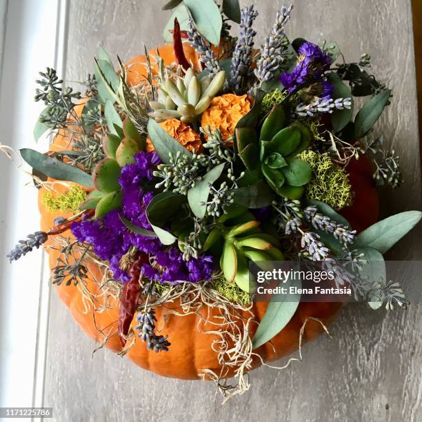 pumpkins and succulents - centerpiece stock pictures, royalty-free photos & images