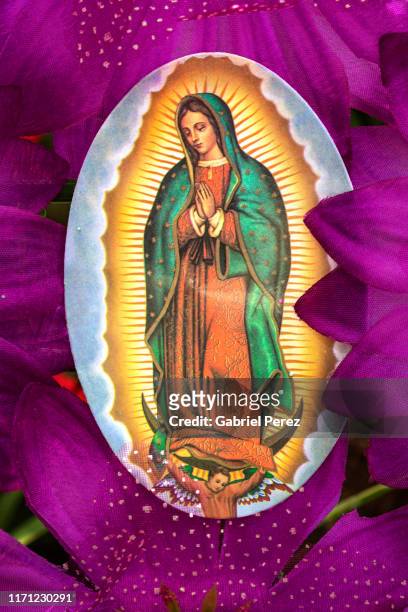 our lady of guadalupe - virgen de guadalupe stock pictures, royalty-free photos & images