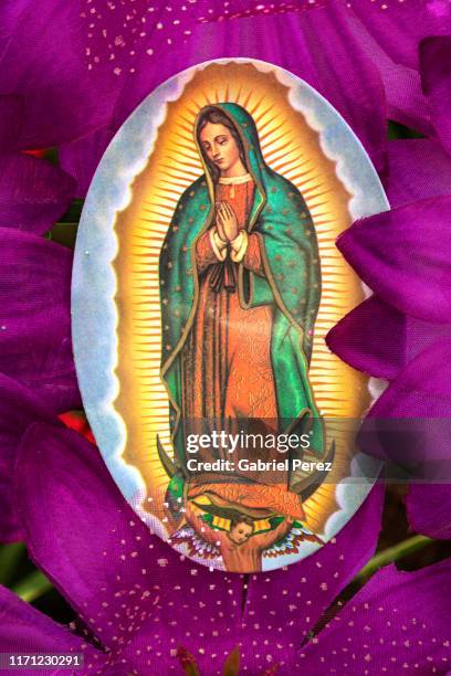 our lady of guadalupe - virgen de guadalupe 個照片及圖片檔