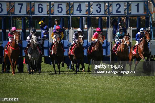 Jockey Dean Yendall riding Another Coldie wins Race 1, Symo's 50th Handicap during Melbourne Racing Memsie Stakes Day at Caulfield Racecourse on...