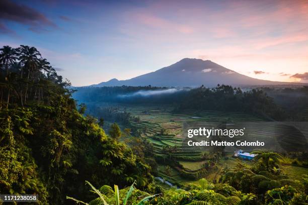 mt agung volcano and rice terraces at dawn, bali - agung volcano in indonesia stock pictures, royalty-free photos & images