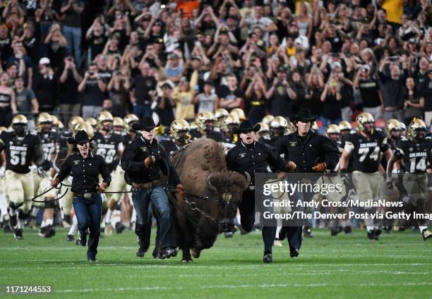 Ralphie the Buffalo and its handlers take the field leading the University off Colorado football team on the field for the Rocky Mountain Showdown...