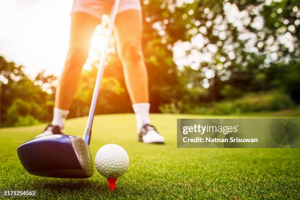 golfer putting the ball into the hole. - golf woman ストックフォトと画像