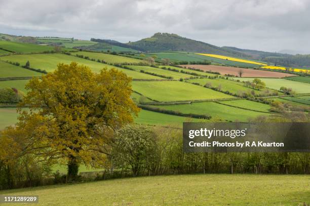 shropshire hills on a spring day - shropshire stock pictures, royalty-free photos & images