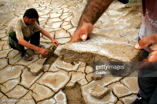 Iraqi men remove pieces of cracked earth from the marshes crossing the southern Iraqi town of al-Azeir, 02 May 2007. The southern Iraqi marshes have...
