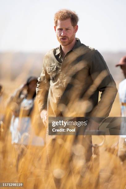 Prince Harry, Duke of Sussex helps to plant trees at the Chobe Tree Reserve in Botswana, on day four of their tour of Africa on September 26, 2019 in...