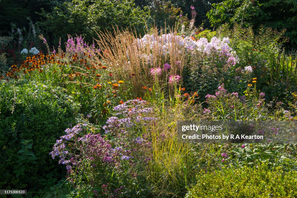 Country garden in late summer